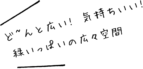 ど~んと広い! 気持ちいい! 緑いっぱいの広々空間