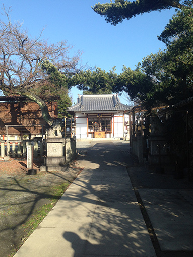 ある日の神社