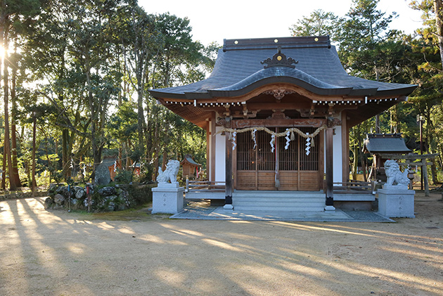 神社の木漏れ日