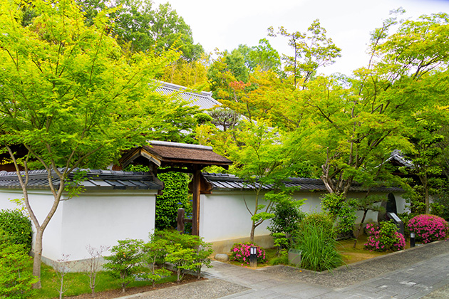 新緑の伊勢寺