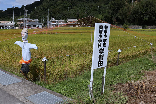 学習田