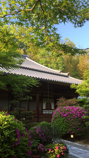 春の伊勢寺