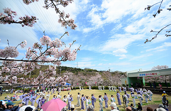 摂津峡さくら祭り