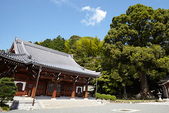 梶原･上牧コースイメージ