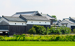 津之江･三島江コース