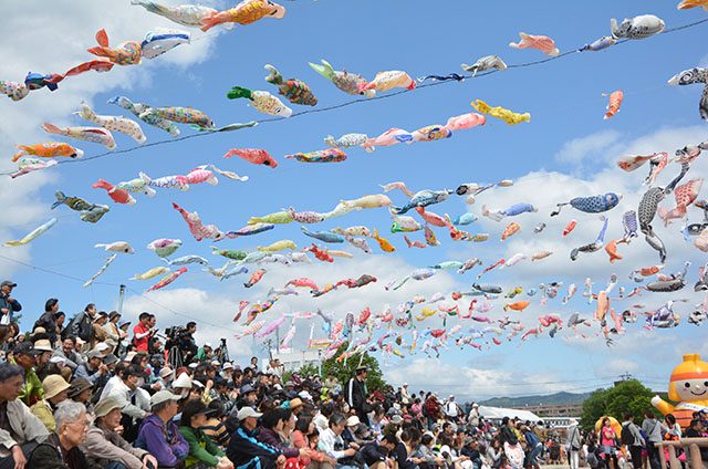 芥川桜堤公園 こいのぼりフェスタ1000 のイベントは来週4 29 月祝 に開催します 観光協会からのお知らせ 高槻市観光協会公式サイト たかつきマルマルナビ